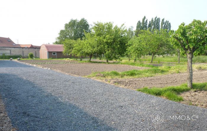 Vente maison à Moncheaux - Ref.EWM019 - Image 7