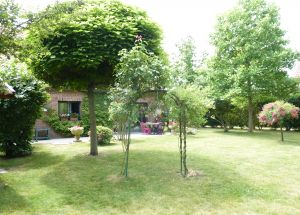 Vente maison à Cappelle-en-Pévèle - Ref.EWM037 - Image 6