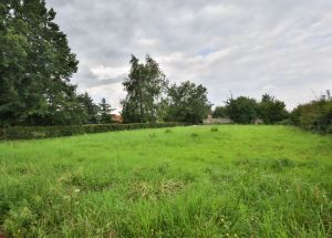 Vente terrain à Moncheaux - Ref.EWM536 - Image 3