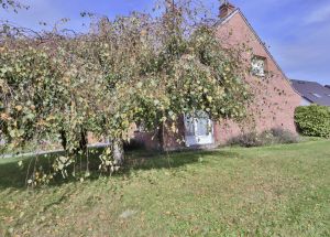 Vente maison à Avelin - Ref.EWM554 - Image 7