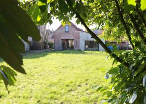 Vente maison à Mérignies - Ref.EWM121 Mérignies - Image 9