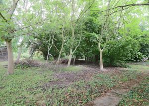 Vente maison à Lomme - Ref.LOM669 - Image 3