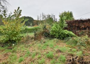 Vente maison à Thumeries - Ref.EWM648 - Image 8