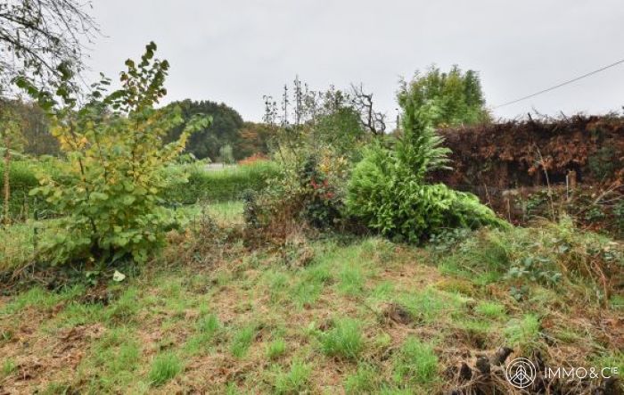 Vente maison à Thumeries - Ref.EWM648 - Image 8