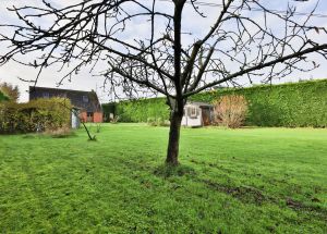 Vente maison à Coutiches - Ref.EWM656 - Image 9