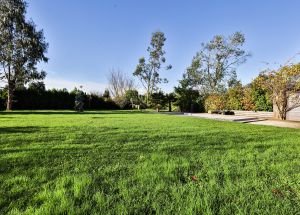 Vente maison à Mérignies - Ref.EWM657 - Image 7