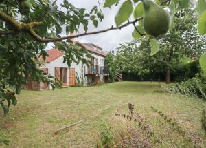 Vente maison à Faches-Thumesnil - Ref.LOM759 - Image 15