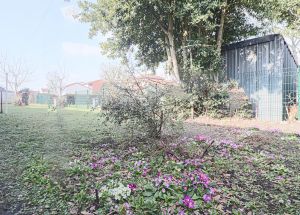 Vente maison à Bauvin - Ref.EWM688 - Image 13