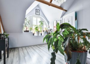 Vente maison à Bucquoy - Ref.EWM711 - Image 7