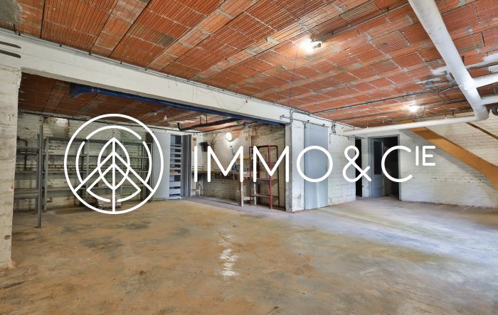 Vente maison à Mérignies - Ref. - Image 11