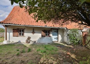 Vente maison à Mérignies - Ref.EWM724 - Image 6