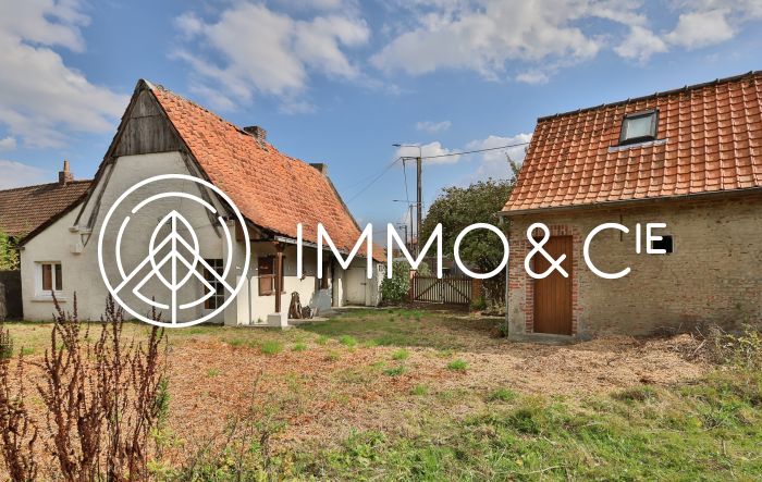 Vente maison à Mérignies - Ref.EWM724 - Image 7