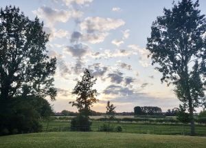 Vente maison à Houplines - Ref.QSD670 - Image 16