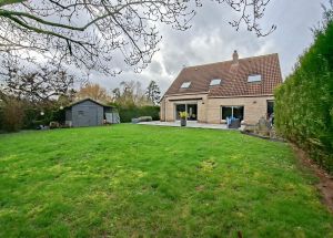 Vente maison à Mérignies - Ref.EWM735 - Image 12