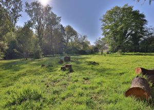 Vente terrain à Mérignies - Ref.EWM737 - Image 3