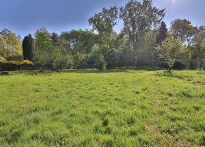 Vente terrain à Mérignies - Ref.EWM737 - Image 2