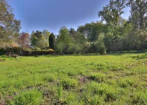 Vente terrain à Mérignies - Ref.EWM737