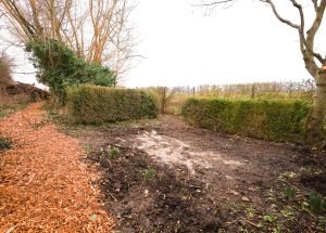 Vente maison à Quesnoy-sur-Deûle - Ref.QSD684 - Image 11