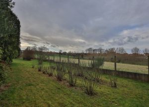 Vente maison à Mons-en-Pévèle - Ref.EWM744 - Image 12