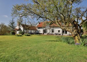 Vente maison à Tourmignies - Ref.EWM757 - Image 12