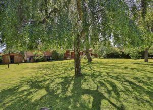 Vente maison à Mérignies - Ref.EWM761 - Image 3