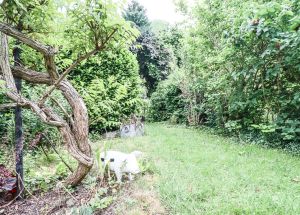 Vente maison à Lambersart - Ref.LOM832 - Image 11