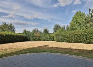 Vente maison à Thumeries - Ref.EWM772 - Image 13