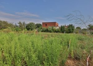 Vente terrain à - Ref.EWM724 - Image 2