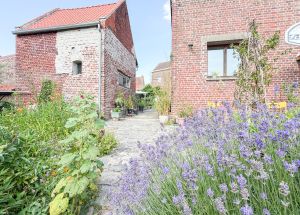 Vente maison à  - Ref.QSD701 - Image 18