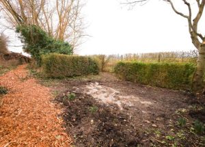 Vente maison à Quesnoy-sur-Deûle - Ref.QSD709 - Image 3