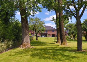 Vente maison à Mérignies - Ref.EWM 245 - Image 3
