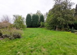 Vente terrain à Templeuve - Ref.EWM283 - Image 2