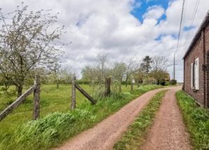 Vente maison à Mons-en-Pévèle - Ref.EWM355 - Image 3