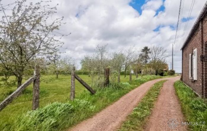 Vente maison à Mons-en-Pévèle - Ref.EWM355 - Image 3