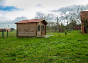 Vente maison à Mons-en-Pévèle - Ref.EWM355 - Image 2