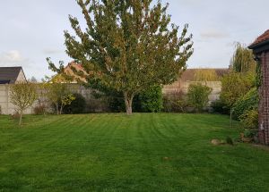 Vente maison à Mérignies - Ref.EWM408 - Image 9