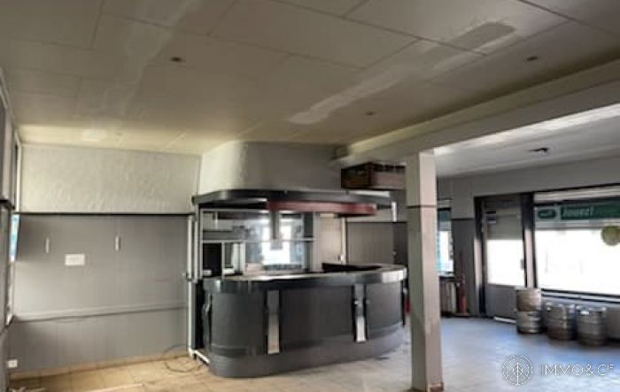 Exclusivite !! Ensemble immobilier mixte et dependances  ... - Image 6
