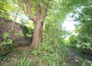 Vente maison à Lomme - Ref.LOM479 - Image 3
