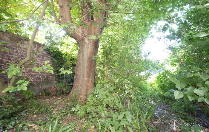 Vente maison à Lomme - Ref.LOM479 - Image 3