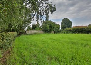 Vente terrain à Moncheaux - Ref.EWM535 - Image 2