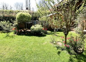 Vente maison à Auchy-lez-Orchies - Ref.EWM513 - Image 37