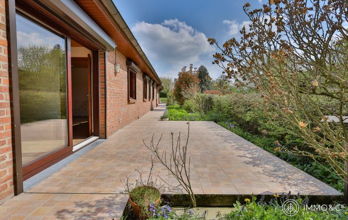 Vente maison à Mérignies - Ref.EWM519 - Image 22