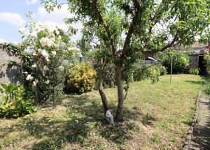 Vente maison à Lomme - Ref.LOM575 - Image 4
