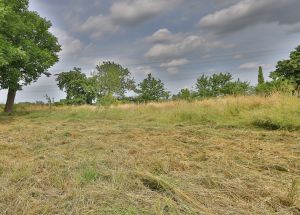 Vente terrain à Cappelle-en-Pévèle - Ref.EWM532